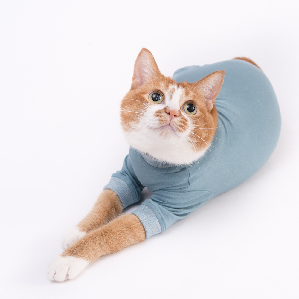 猫に優しい猫服 皮膚保護服キャットプロテクションスーツ 株式会社ぽぽねこ Poponeko Inc