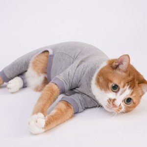 猫に優しい猫服　皮膚保護服　キャットプロテクションスーツ