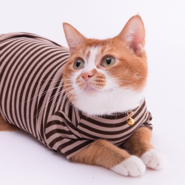 猫に優しい猫服　キャットウォームシリーズ