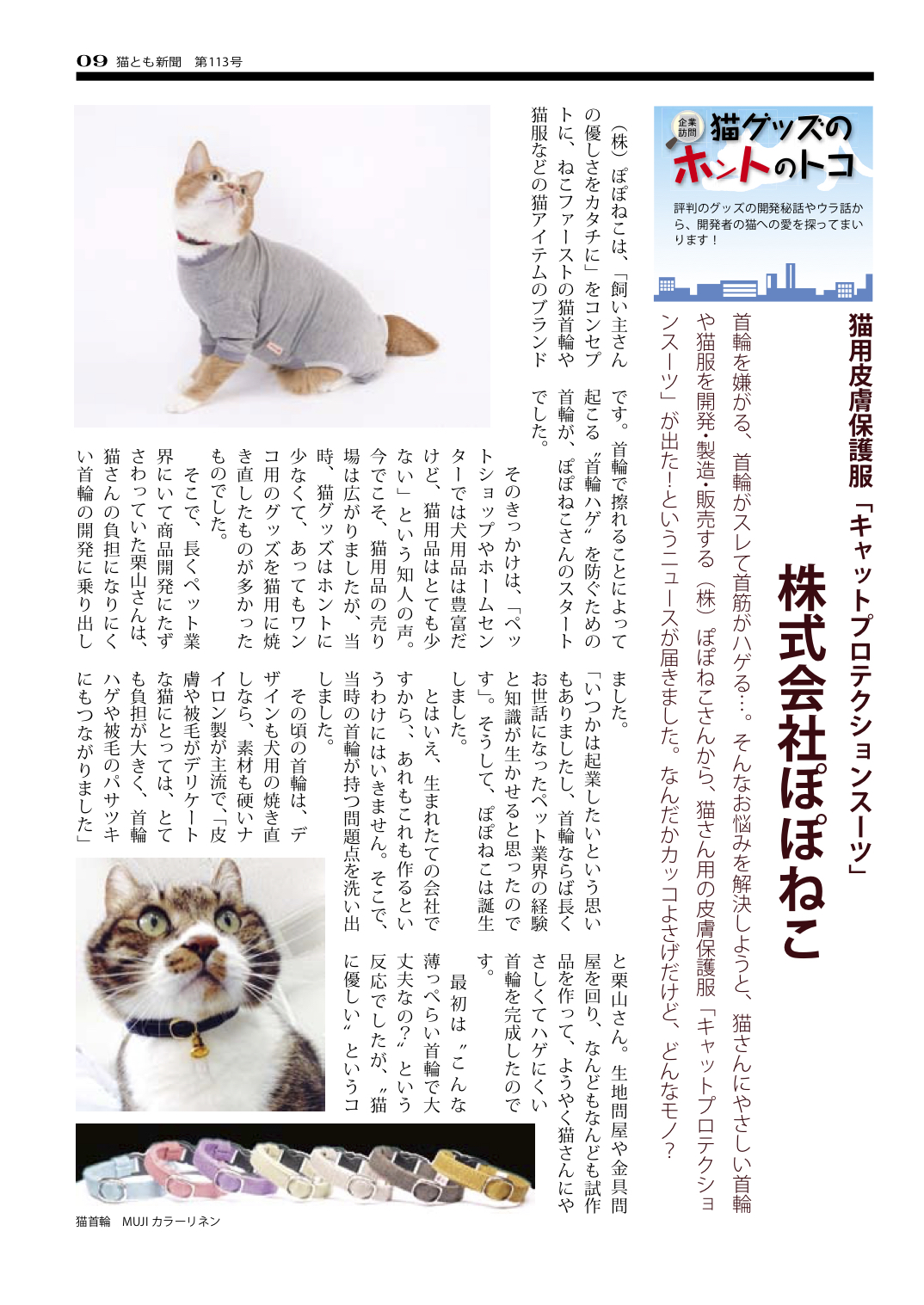 月刊猫とも新聞11月号