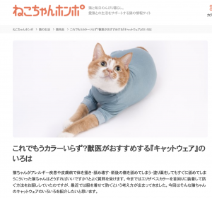 【メディア掲載】ねこちゃんホンポ　獣医師監修記事にて皮膚保護服キャットプロテクションスーツが紹介されました