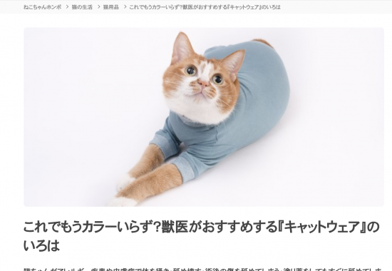 【メディア掲載】ねこちゃんホンポ　獣医師監修記事にて皮膚保護服キャットプロテクションスーツが紹介されました