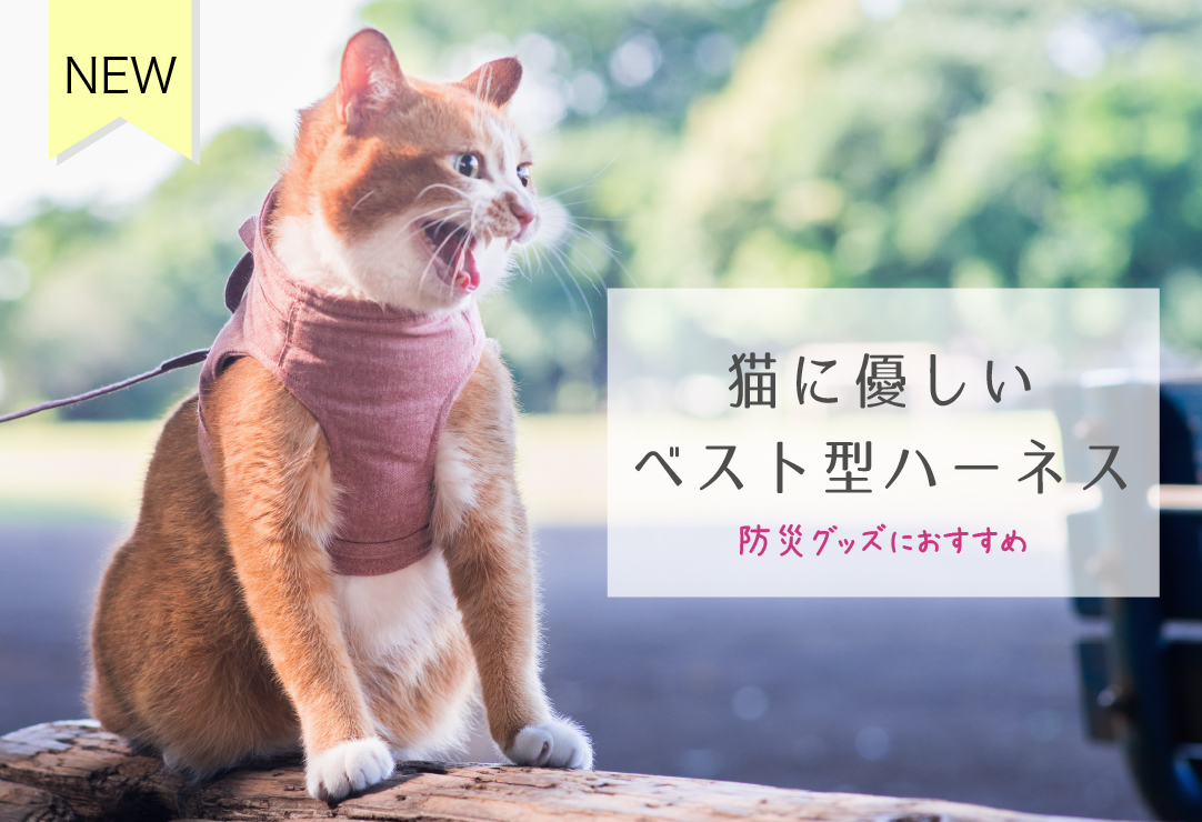 猫の防災グッズ 災害 非常時の防災対策に ぽぽねこ 猫に優しいベスト型ハーネス 新発売 株式会社ぽぽねこ Poponeko Inc