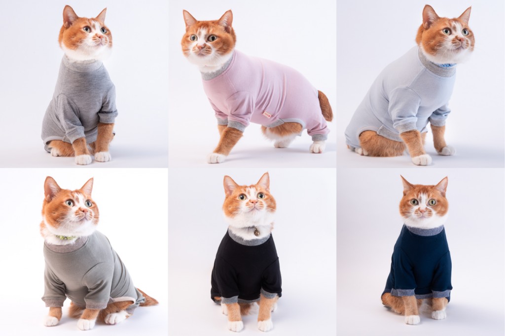 Npo法人 猫色protectionむろらん Npo法人 猫色protectionむろらん