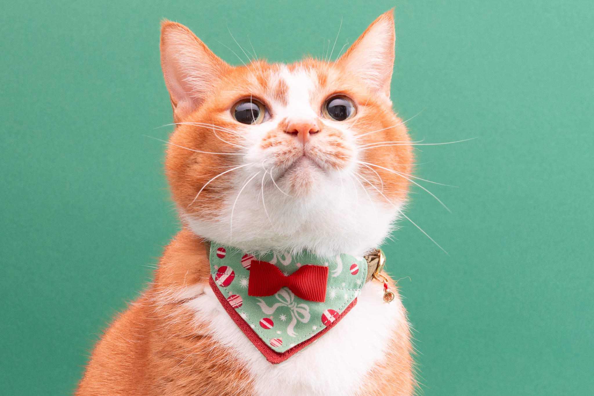 ハゲにくい猫首輪に『クリスマス限定モデル』が新登場!