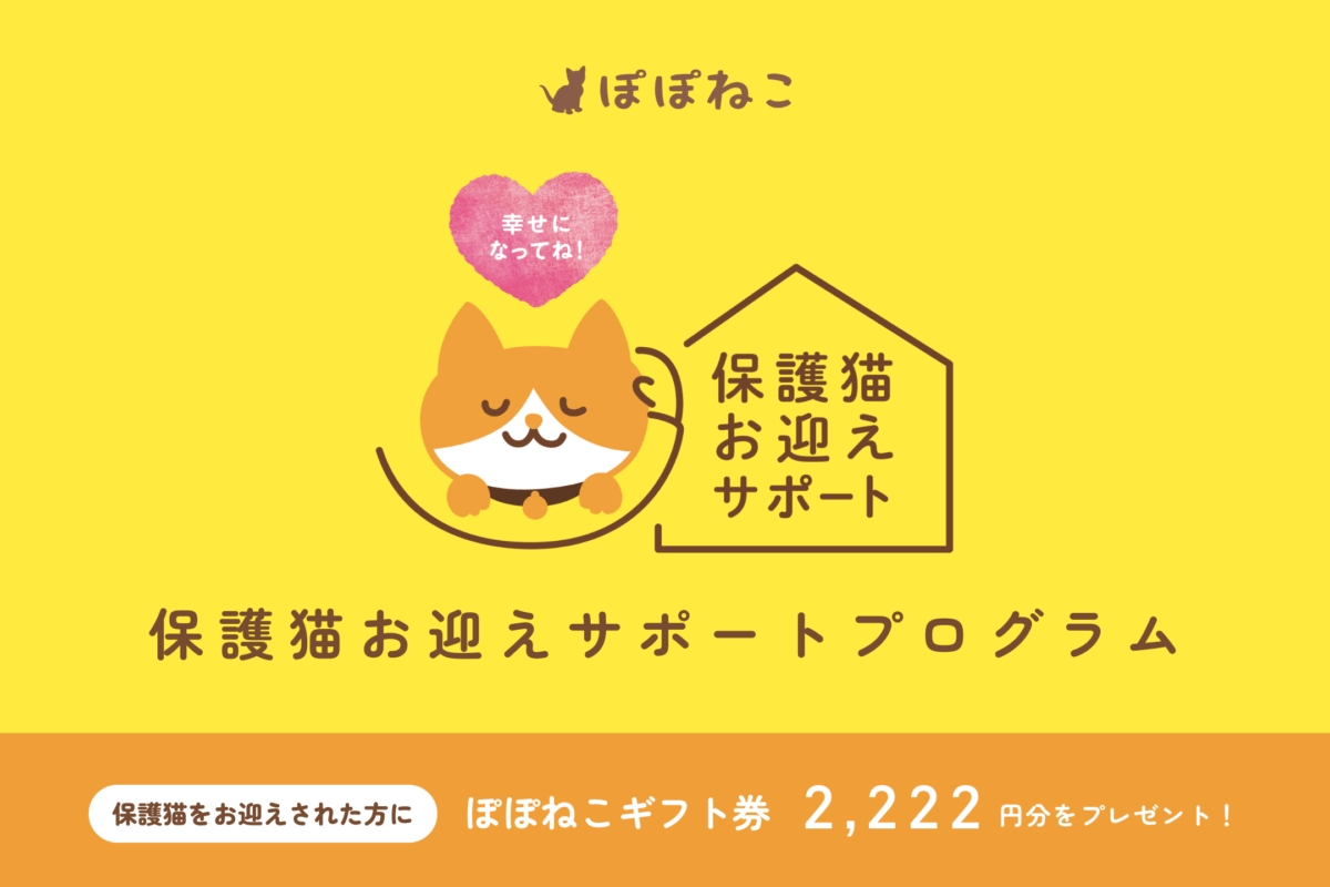 幸せになってね！保護猫お迎えサポートプログラム