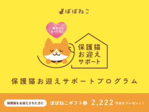 幸せになってね！保護猫お迎えサポートプログラム